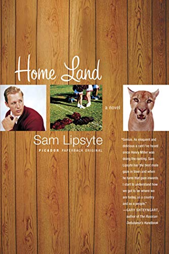 Home Land: A Novel book cover