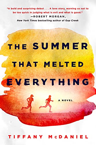 The Summer That Melted Everything: A Novel book cover