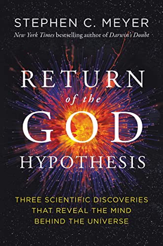RETURN OF THE GOD HYPOTHESIS book cover