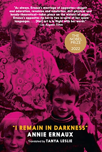 I Remain In Darkness book cover