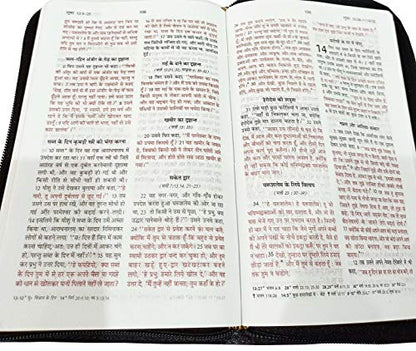 Holy Bible Hindi (Red Letter Edition) Zip Golden Edge Contains Old and New Testament BSI