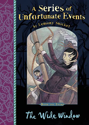 A Series of Unfortunate Events #3: The Wide Window book cover