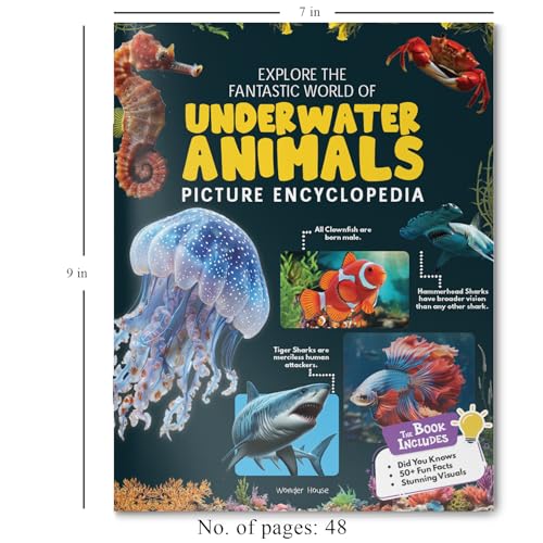 Explore Fantastic World of Underwater Animals Picture Encyclopedia