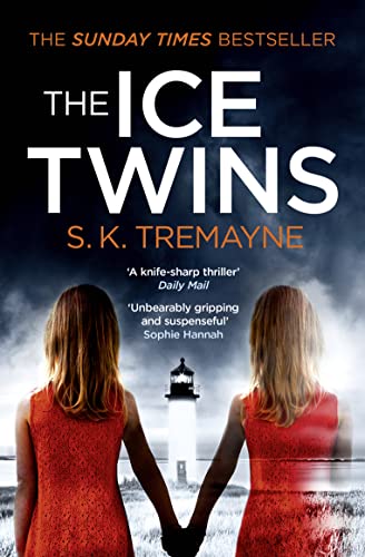 The Ice Twins book cover