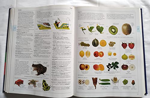 Illustrated Oxford Dictionary