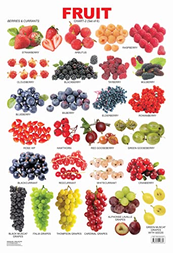 Fruit Chart - 2 book cover