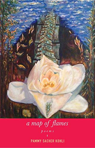 MAP OF FLAMES book cover