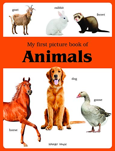 My first picture book of Animals: Picture Books for Children book cover