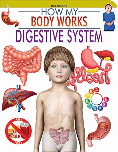 Digestive System (How My Body Works) book cover