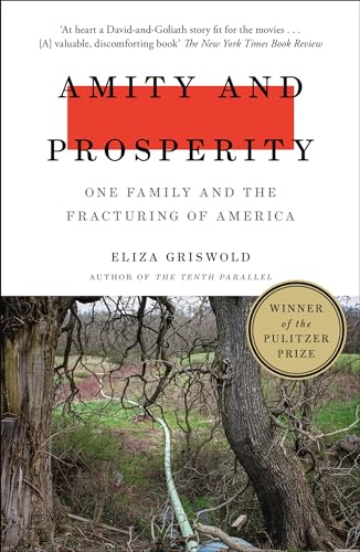 Amity and Prosperity: One Family and the Fracturing of America book cover