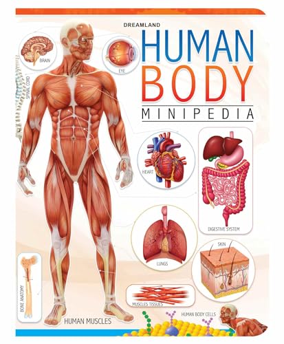 Human Body Minipedia book cover
