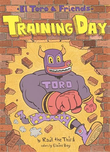 Training Day book cover