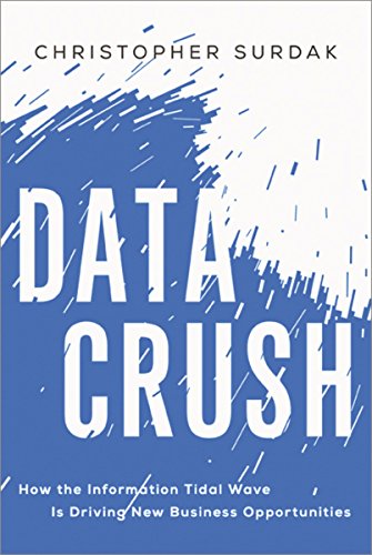 Data Crush: How the Information Tidal Wave Is Driving New Business Opportunities book cover