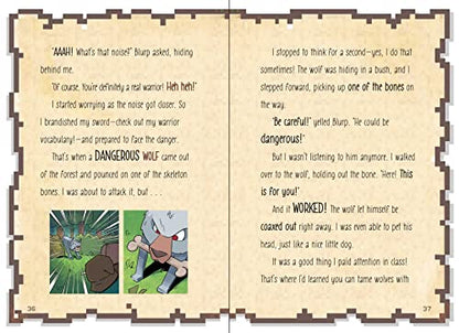 A Noob's Diary of an 8-Bit Warrior: Volume 1