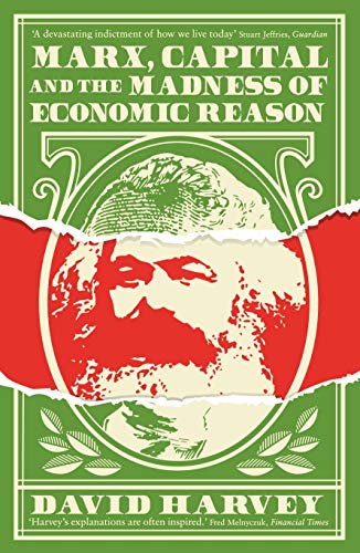 Marx, Capital and the Madness of Economic Reason book cover