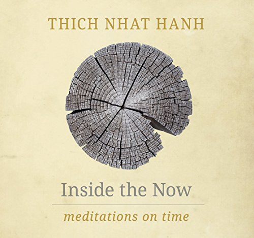 Inside the Now: Meditations on Time book cover