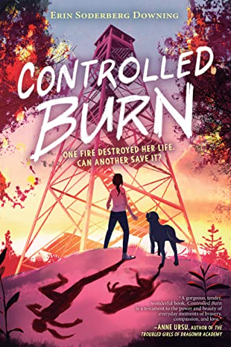 Controlled Burn book cover