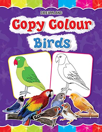 Copy Colour - Birds book cover