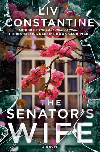 The Senators Wife: A Novel book cover