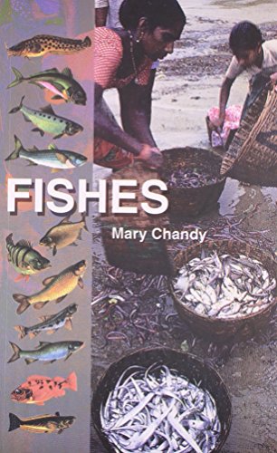 FISHES book cover