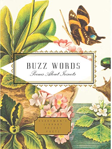 Buzz Words book cover