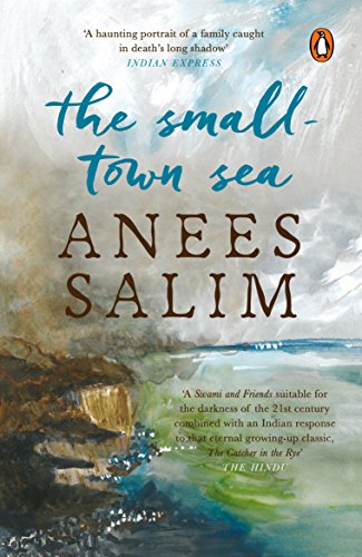 The Small-Town Sea book cover