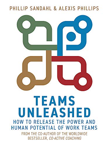 Teams Unleashed book cover
