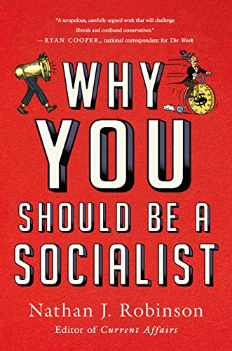 Why You Should Be a Socialist book cover
