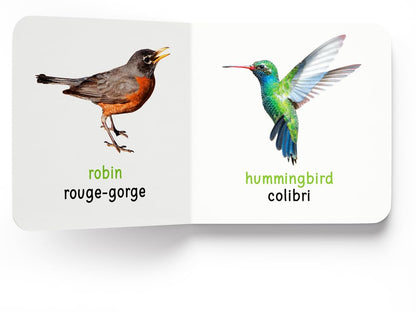 My First Book of Birds - Oiseaux : My First English French Board Book (English - Francais)