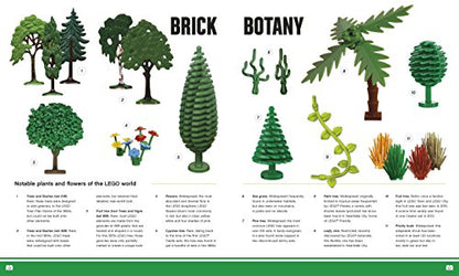 LEGO Absolutely Everything You Need to Know