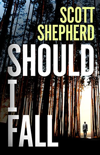 Should I Fall book cover