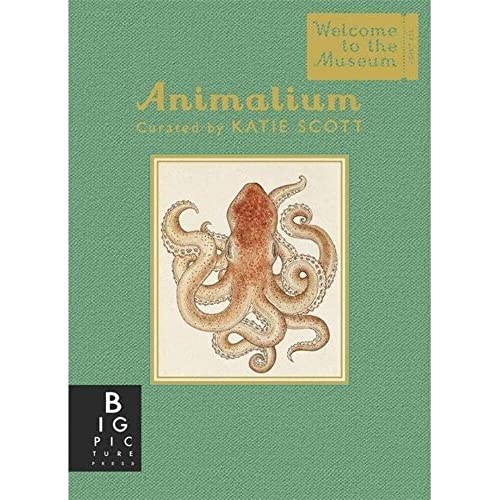 Animalium (Mini Gift Edition) book cover