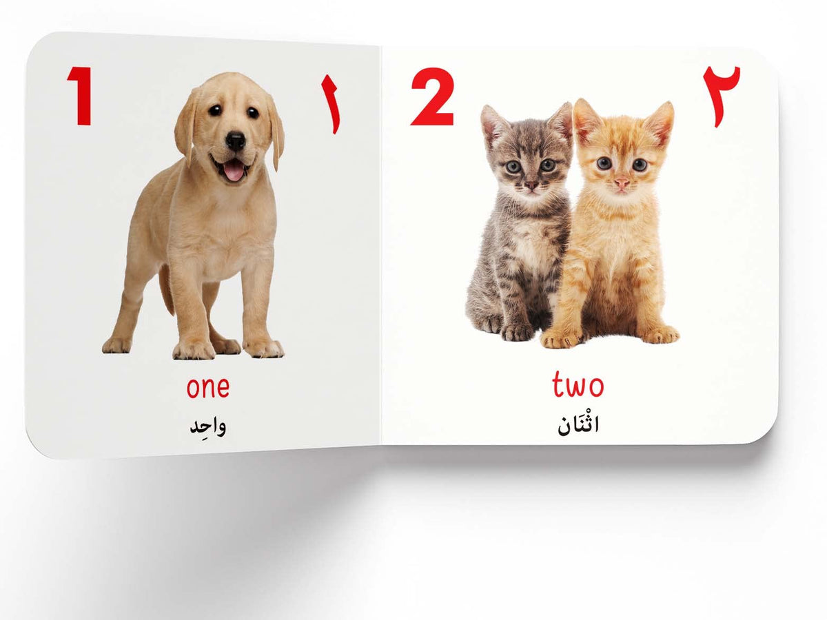 My First English-Arabic Learning Library: Bilingual Boxset of 10 Picture Board Books for Kids - Covers Basic Concepts and Everyday Topics