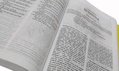 GOOD NEWS BIBLE TODAY'S ENGLISH VERSION CATHOLIC Regular Edition with Deuterocanonical Books/ Apocrypha Illustrated Old and New Testament