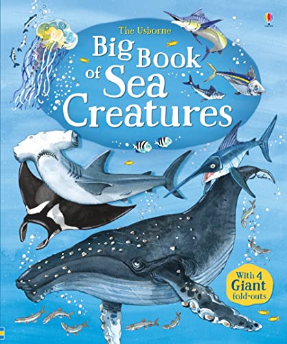 BIG BOOK OF SEA CREATURES book cover
