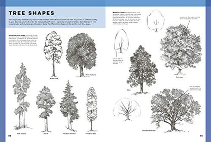 The Art of Basic Drawing