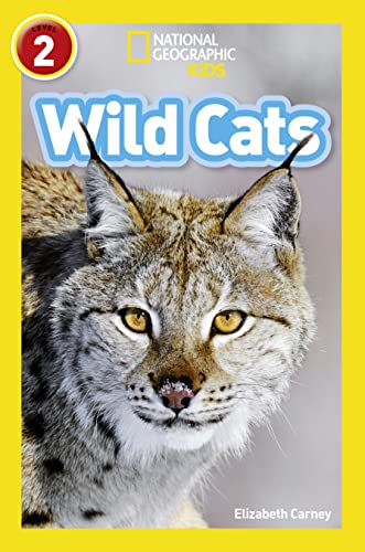 WILD CATS book cover