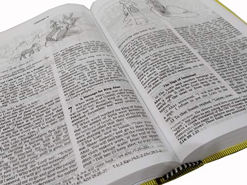 GOOD NEWS BIBLE TODAY'S ENGLISH VERSION CATHOLIC Regular Edition with Deuterocanonical Books/ Apocrypha Illustrated Old and New Testament