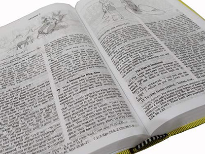 GOOD NEWS BIBLE TODAY'S ENGLISH VERSION CATHOLIC Regular Edition with Deuterocanonical Books/ Apocrypha Illustrated Old and New Testament