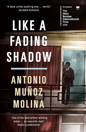 Like a Fading Shadow: A Novel book cover