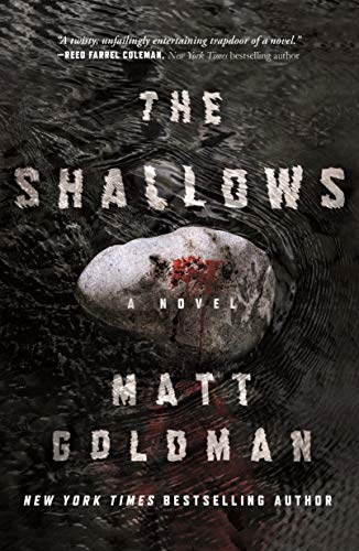 The Shallows (Nils Shapiro, Bk. 3) book cover