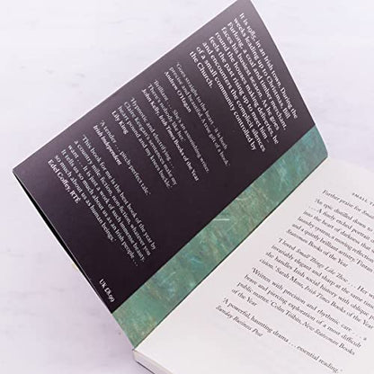 Small Things Like These: The Irish Times readers' choice for best Irish book of the century