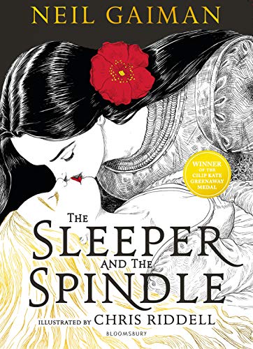 The Sleeper and the Spindle book cover