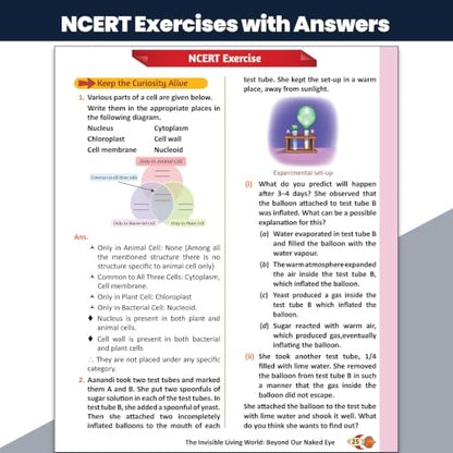 PW Concept & Question Bank Class 8 New NCERT Science (Curiosity) Book for 2026 Exams| NCERT Based Theory, Diagrams & Activities| NCERT Question Bank with Competency Based Practice Questions