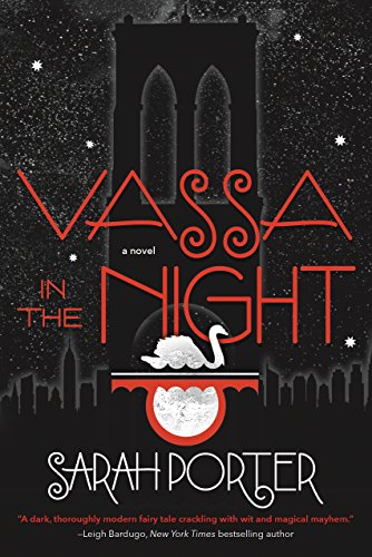 Vassa in the Night: A Novel book cover