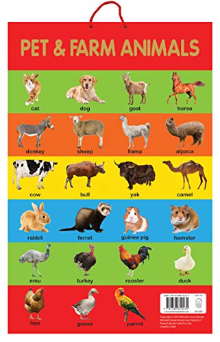 Pet & Farm Animals - Early Learning Educational Posters For Children: Perfect For Kindergarten, Nurs