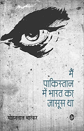 Radical Equality: Ambedkar, Gandhi, And The Risk Of Democracy book cover