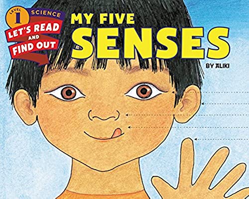 MY FIVE SENSES book cover