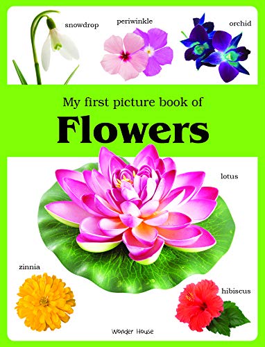 My first picture book of Flowers: Picture Books for Children book cover