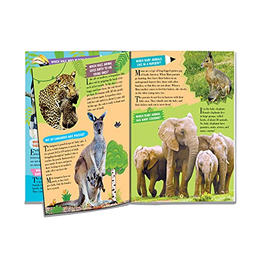 Animal World Children Encyclopedia for Kids Age 5–15 Years | Illustrated Animal Encyclopedia with Fun Facts, Trivia Questions & Answers | Learn About Wildlife, Sea Creatures, Birds, Mammals, Insects, Reptiles & Amazing Animal Kingdom Discoveries